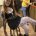 lia h. photo